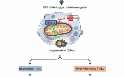 Hoffnung bei T-Zell-Leukämie im Kindesalter