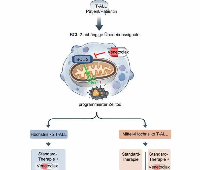Hoffnung bei T-Zell-Leukämie im Kindesalter
