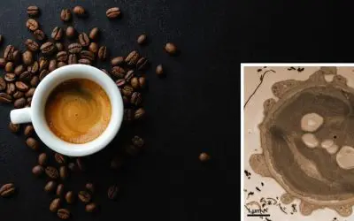 Elektronenmikroskopie: Espresso als umweltfreundliche Alternative zu Uranylacetat