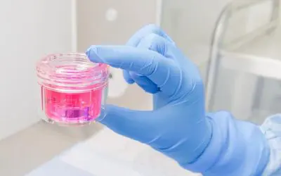 DGFG meldet Rekordzahl an Gewebespenden