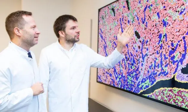 MHH-Forschende entdecken „molekulares Gedächtnis“ in Nierentransplantaten