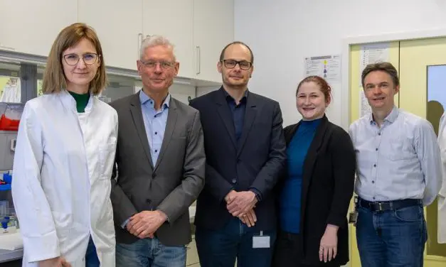 Mechanismus seltener Hirnvenenthrombosen nach COVID-19-Vektor-Impfstoffen entschlüsselt