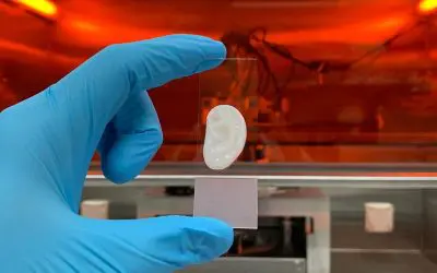 ETH-Forschende stellen elastischen Ohrknorpel im Labor her