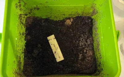 HTW Dresden entwickelt biokompatible, kompostierbare Materialien für Point-of-Care-Diagnostik