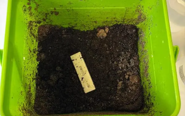 HTW Dresden entwickelt biokompatible, kompostierbare Materialien für Point-of-Care-Diagnostik