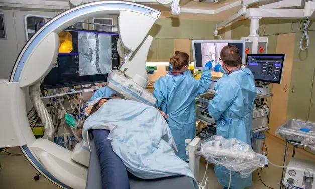 Niedersachsen fördert neues Therapieprojekt gegen unheilbare Gallenwegserkrankung PSC