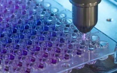 INP Greifswald: Medizinisches Gasplasma macht Adenoviren in Sekunden unschädlich