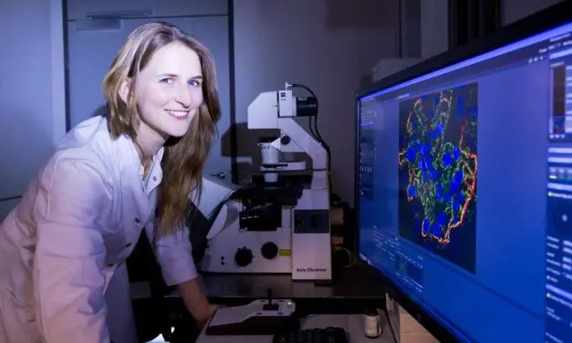 Dr. Martini-Preis 2026 geht erstmals seit 14 Jahren wieder nur an eine Wissenschaftlerin