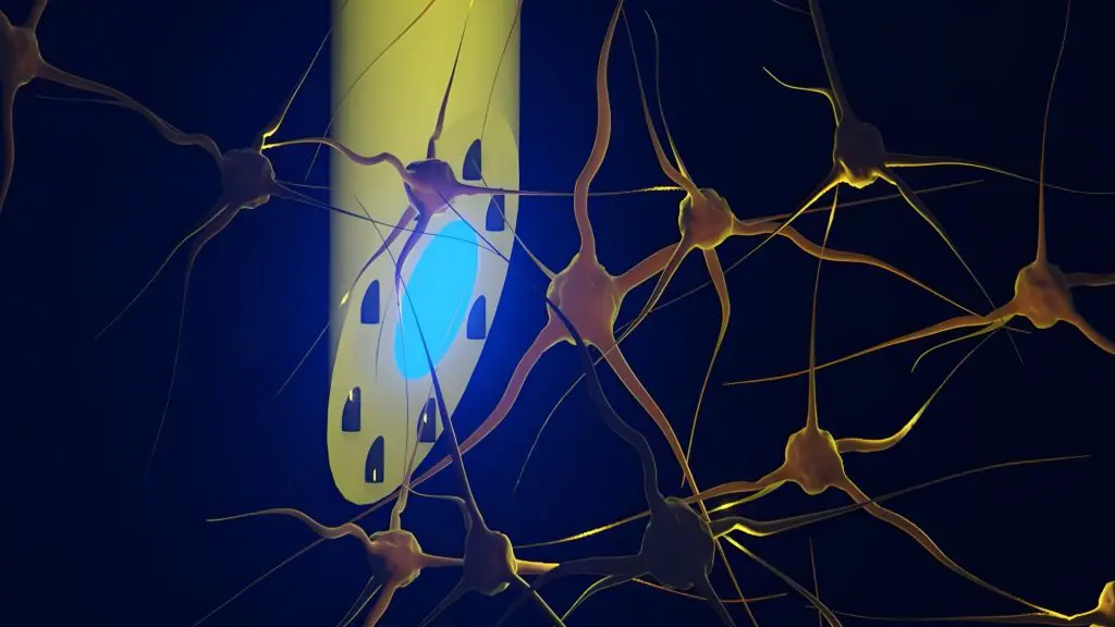 Illustration der mAxialtrode, die zeigt, wie sie Licht, elektrische Signale und Medikamente in einem einzigen nadeldünnen Schlauch kombiniert, der zur Steuerung und Messung der Gehirnaktivität in verschiedenen Schichten des Gehirns sowie zur direkten Verabreichung von Medikamenten verwendet werden kann. Illustration: Kunyang Sui.