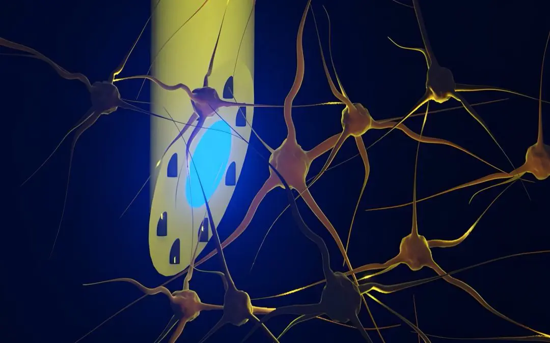 Implantat versorgt das Gehirn mit Medikamenten