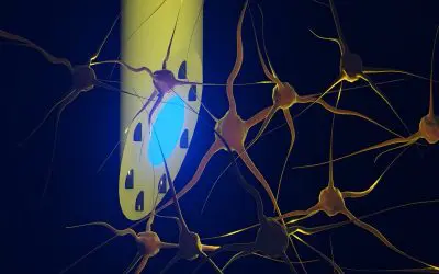 Implantat versorgt das Gehirn mit Medikamenten