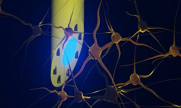 Implantat versorgt das Gehirn mit Medikamenten