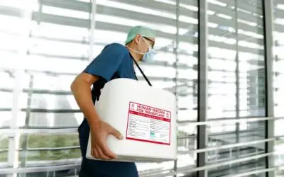 Organspendezahlen in Deutschland erreichen 2025 höchsten Stand seit 2012