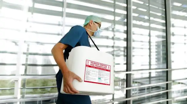 Organspendezahlen in Deutschland erreichen 2025 höchsten Stand seit 2012