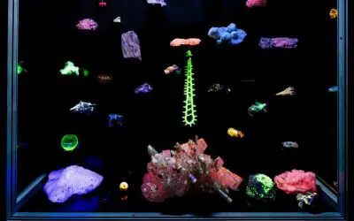 Jena feiert 225 Jahre Entdeckung der UV-Strahlung mit interdisziplinärem Symposium