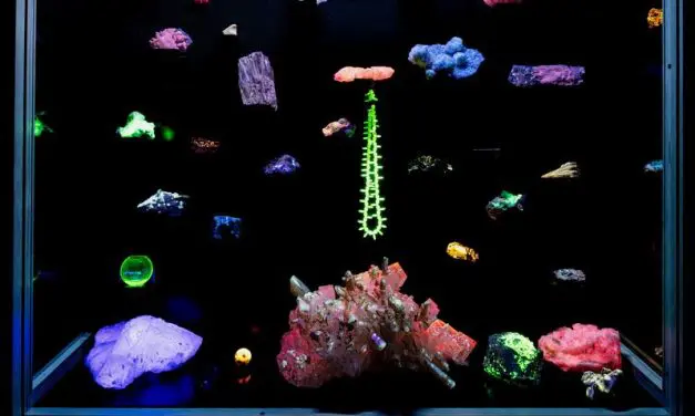 Jena feiert 225 Jahre Entdeckung der UV-Strahlung mit interdisziplinärem Symposium