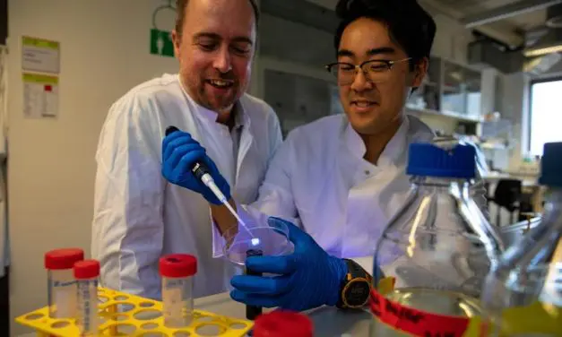 Fulbright-Stipendiat forscht zu neuen Therapien gegen chronische Wunden