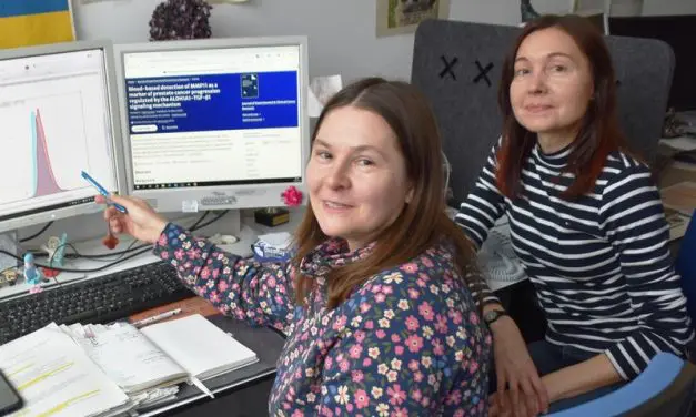 MMP11: Vielversprechender Biomarker für Flüssigbiopsie bei metastasiertem Prostatakrebs