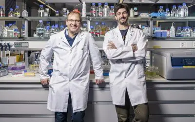 Lichtschalter in Betablocker: Präzisere Medikamente mit weniger Nebenwirkungen möglich