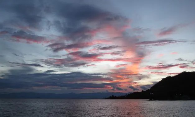 LPP-Marker: Retter beim Ruanda-Genozid 1994 zeigen stärkere neuronale Empathie