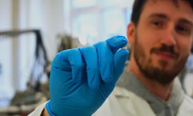 Kieler Forschende entwickeln ultraleichte Aerohydrogels für realistische Gehirnzellkulturen