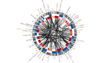 Therapien beim Multiplen Myelom hinterlassen messbare genetische Spuren in den Tumorzellen