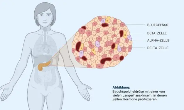 Erklärbare KI enthüllt versteckte Gewebeveränderungen bei Typ-2-Diabetes