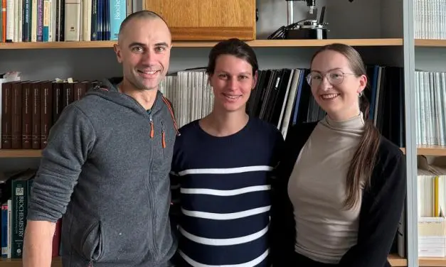 Essener Forschungsteam entschlüsselt, wie Puumala-Virus Zellen umbaut