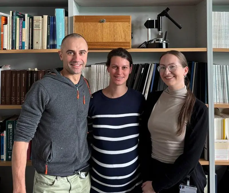 Essener Forschungsteam entschlüsselt, wie Puumala-Virus Zellen umbaut