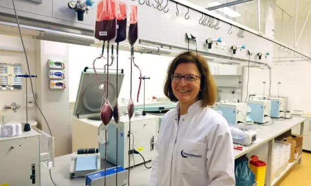 Sensation: Universelles Blutplasma für alle Blutgruppen bekommt PEI-Zulassung