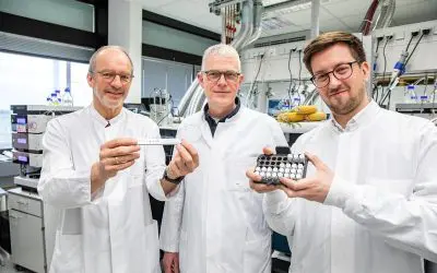 MHH-Forschende entdecken Mikroprotein, das Herz nach Infarkt repariert