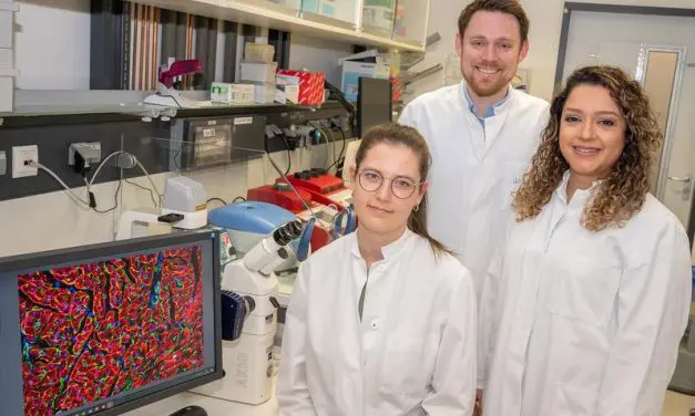 Hoffnung für Kinder mit chronischer Herzschwäche