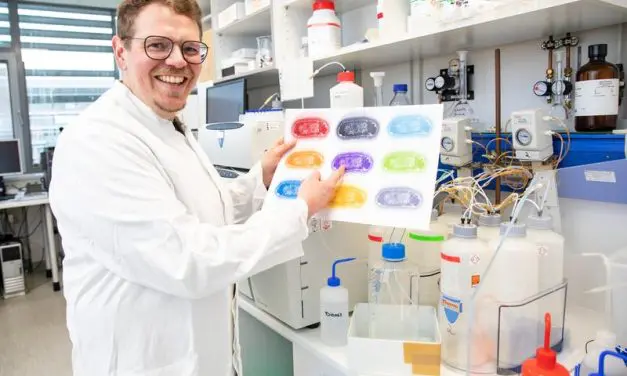 MHH-Forscher erhält zwei Millionen Euro für neue Impfstoffe gegen resistente Bakterien