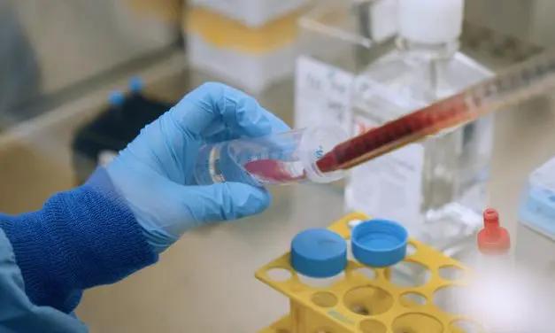 Chronische Infektionen programmieren T-Helferzellen langfristig um