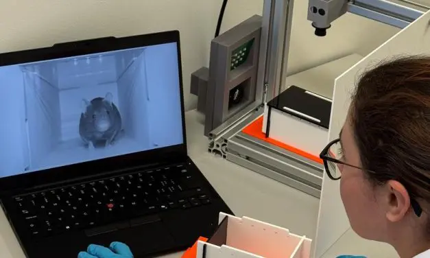 KI verbessert Schmerzerkennung bei Labortieren und steigert Tierwohl