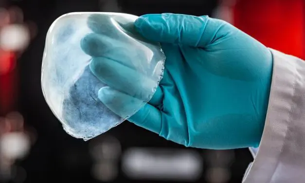 Hannover Messe: Neuer biomimetischer Gewebeersatz aus dem 3D-Drucker für medizinische Implantate