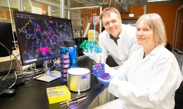 MHH-Forschende entdecken 3,8 Milliarden Jahre alten Quantenmechanismus im Immunsystem