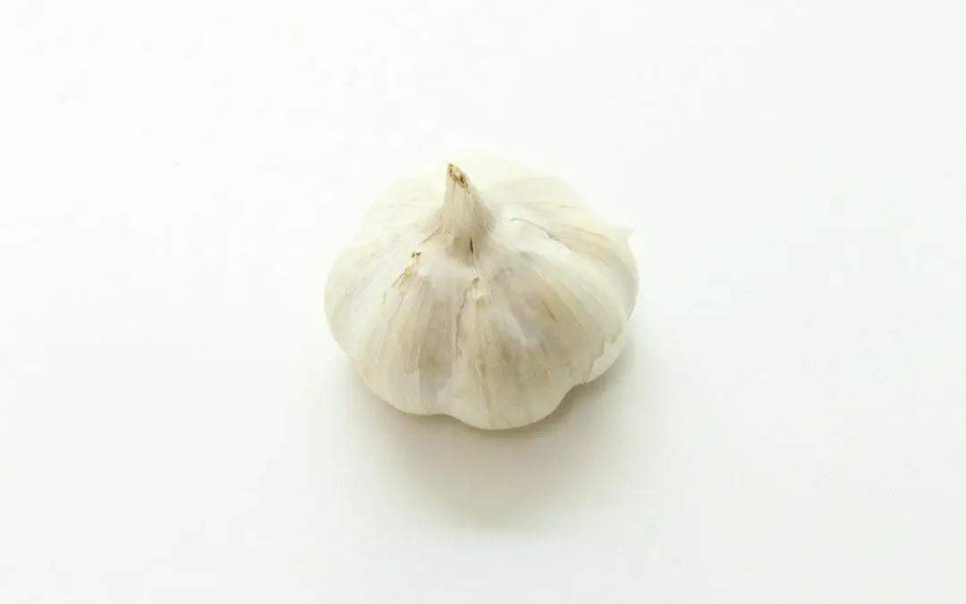 Longevity: Knoblauch-Verbindung S1PC verbessert Muskelkraft im Alter