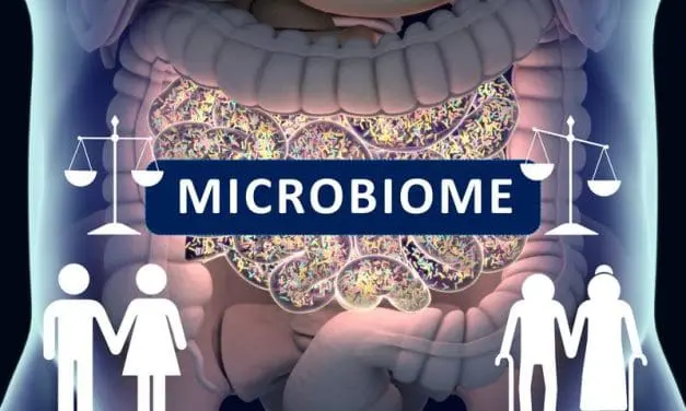 Nachlassende Immunüberwachung ist Ursache für Destabilisierung des Darmmikrobioms im Alter