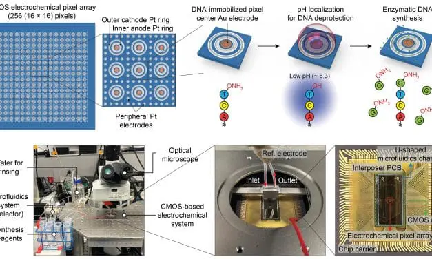 Harvard-Chip synthetisiert DNA parallel