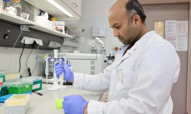 Greifswalder Forschende entdecken neuen Angriffspunkt des Philadelphia-Chromosoms bei Leukämie