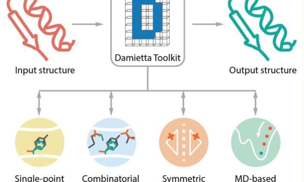 Bioinformatik: Internet-Toolkit aus Deutschland revolutioniert Proteindesign