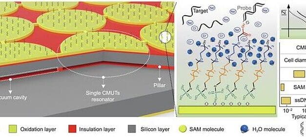 POCT: Neuer resonanter Biosensor erhöht Spezifität beim DNA-Nachweis