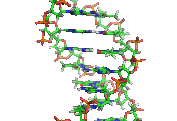 Petra Olschowski besucht die Health + Life Science Alliance Heidelberg Mannheim