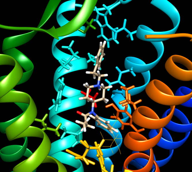 Fentanyl. Rainbow-colored band structure. Upper part of TM helix6 is faded out. Credits: Wikipedia Commons/ License: CC0 1.0 Universal   