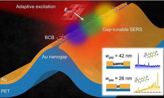 Nanosensor erlaubt Echtzeit-Nachweis hochpathogener Viren