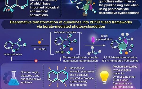 Umwandlung preiswerter Chinoline in komplexe Arzneimittelkandidaten gelungen