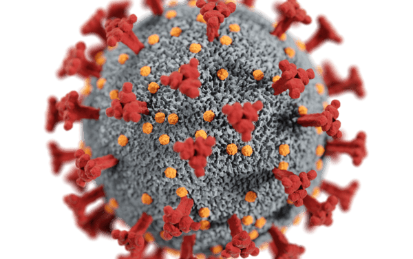 Post-COVID-Syndrom: Blutdruck- und Cholesterinsenker lindern Symptome