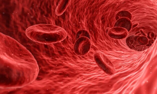 Blutstammzelltransplantation: Cyclophosphamid steigert Überlebenschancen