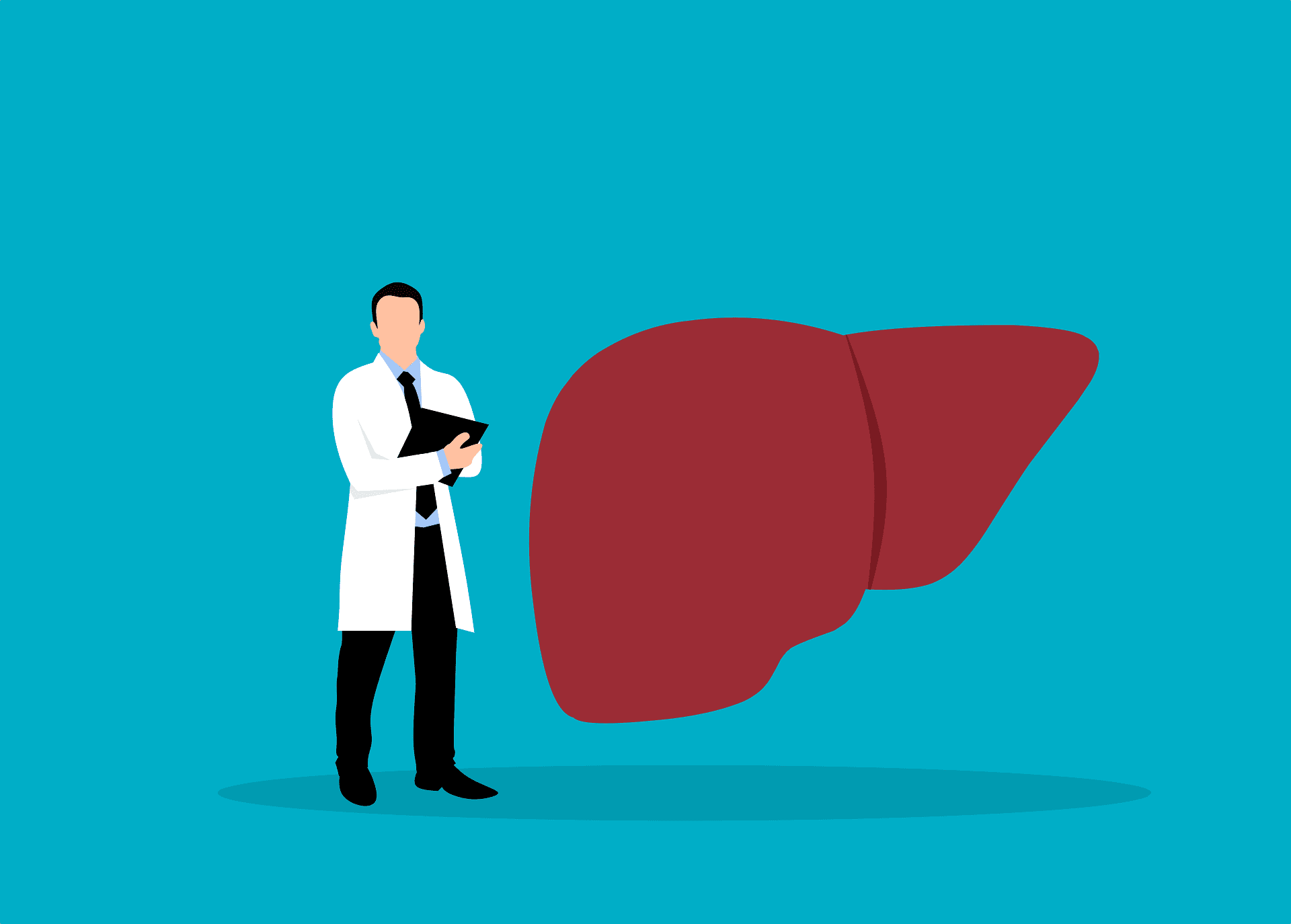 Das Leitlinienprogramm Onkologie hat die S3-Leitlinie für das Hepatozelluläre Karzinom (HCC) und biliäre Karzinome aktualisiert.